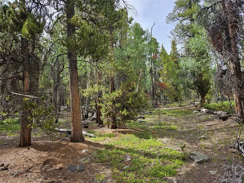 PCS#7923 Suds Spot, Fairplay, CO 80440