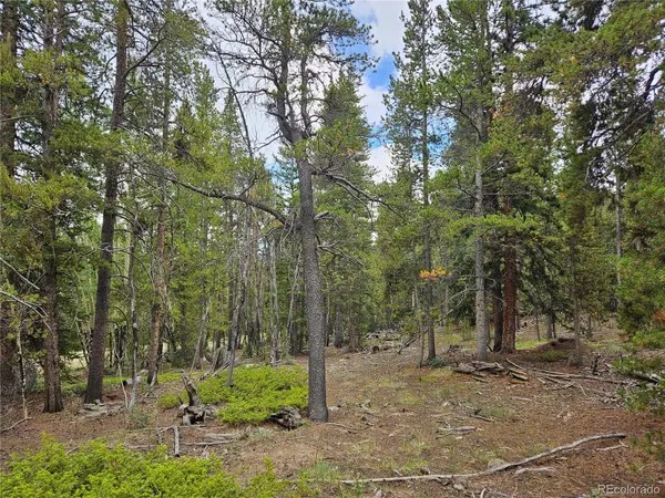 Fairplay, CO 80440,PCS#7923 Suds Spot
