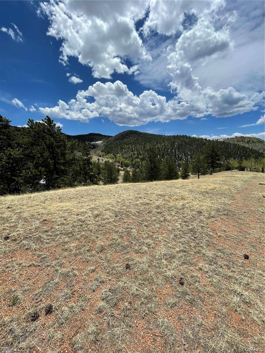 Cripple Creek, CO 80813,374 Copper Mountain DR