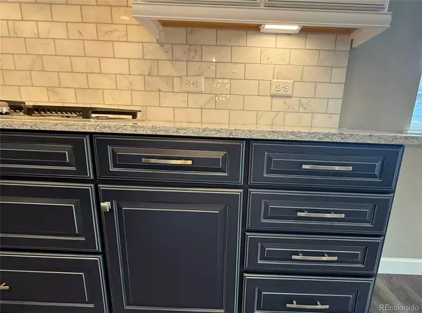 Castle Rock, CO 80108,6899 Petunia PL