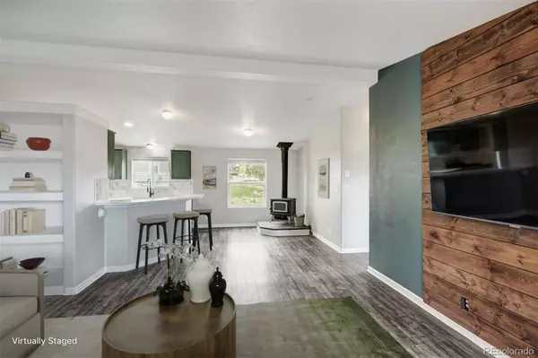 Fairplay, CO 80440,269 High Creek RD