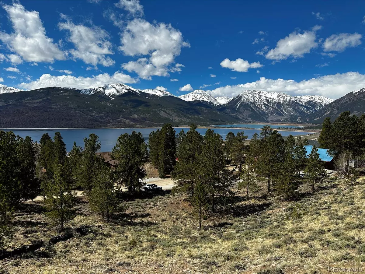 Twin Lakes, CO 81251,199 Twin Peaks DR