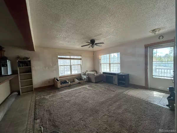 Leadville, CO 80461,27 Motherlode DR