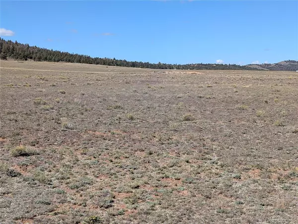 Hartsel, CO 80449,2895 Summit RD