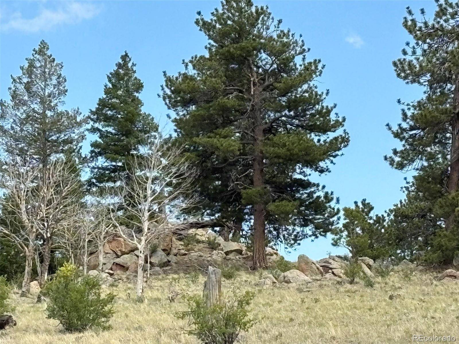 Hartsel, CO 80449,1750 Mahican RD