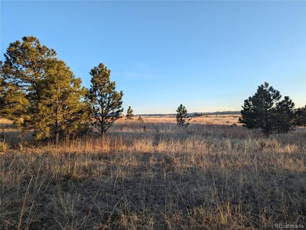 12295 County Road 118, Kiowa, CO 80117