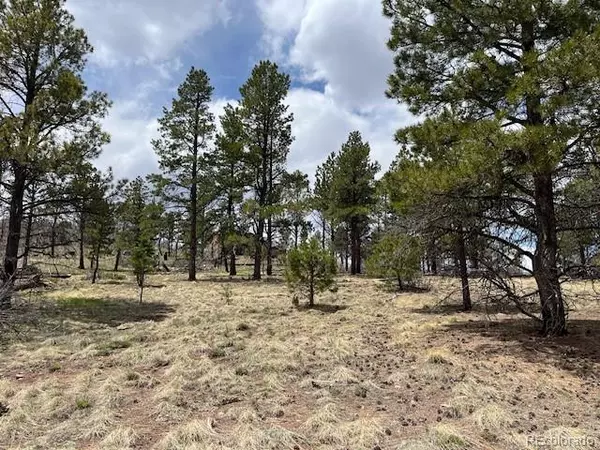 Fort Garland, CO 81133,Lot 291 Dany PL
