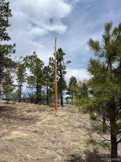 Fort Garland, CO 81133,Lot 291 Dany PL
