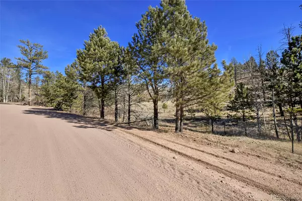 Florissant, CO 80816,292 Chateau West DR