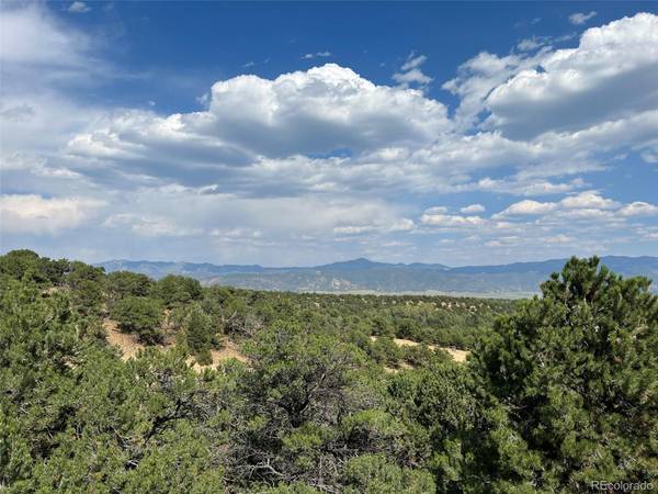 12240 Saddle Ridge LN, Salida, CO 81201