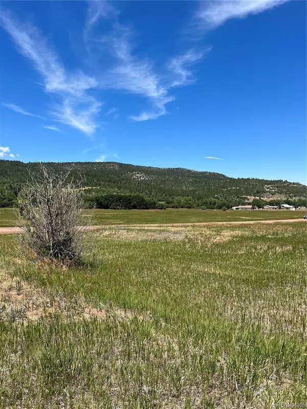 Colorado City, CO 81019,lot 288 Bohn PL