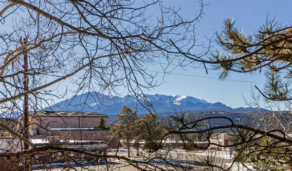 Woodland Park, CO 80863,401 Forest Edge RD #B4