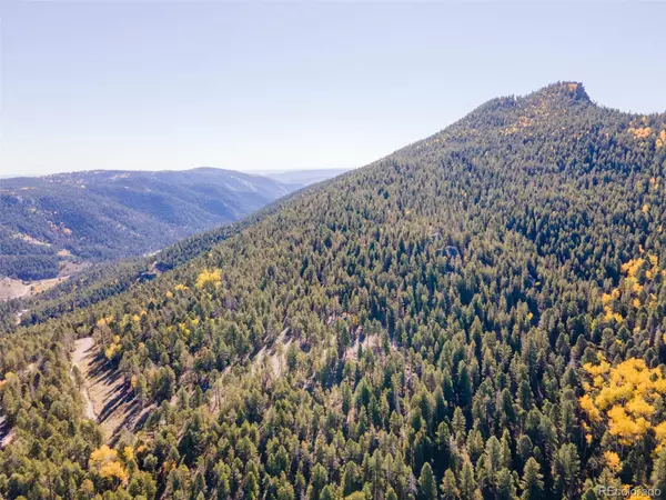 Conifer, CO 80433,12350 Powhatan TRL