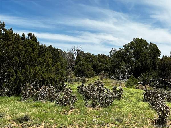 Walsenburg, CO 81089,Lot 589 La Deora BLVD