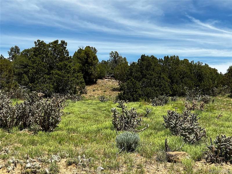 Lot 589 La Deora BLVD, Walsenburg, CO 81089