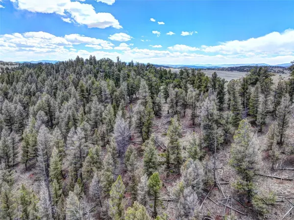 Hartsel, CO 80449,0 Galahad WAY