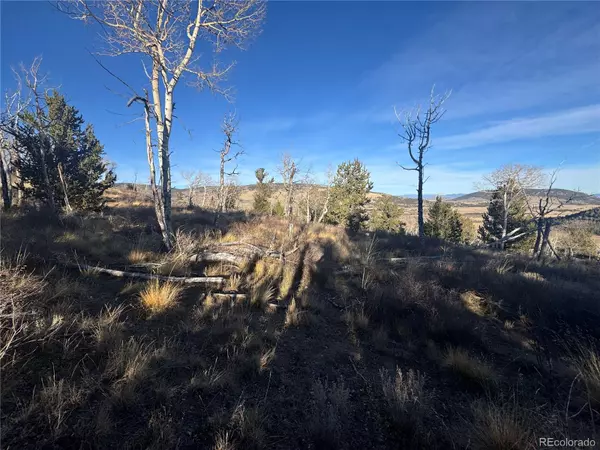 Fairplay, CO 80440,84 Pine Ridge RD