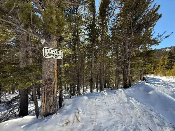 Lincoln DR, Idaho Springs, CO 80452