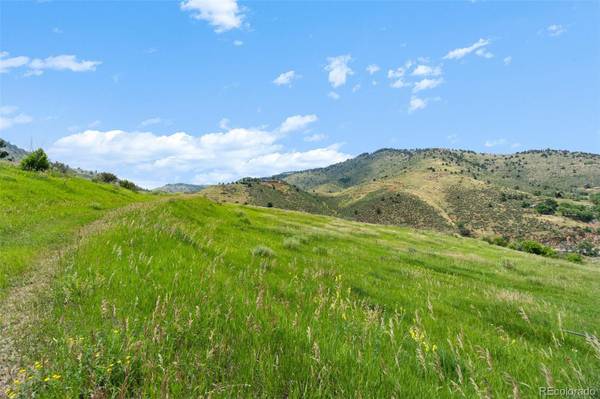 21725 Shady LN, Idledale, CO 80453