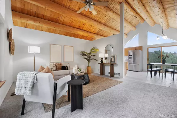 Bailey, CO 80421,478 Chickadee LN