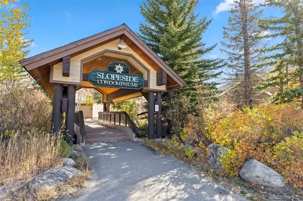 Dillon, CO 80435,1211 W Keystone RD #2736