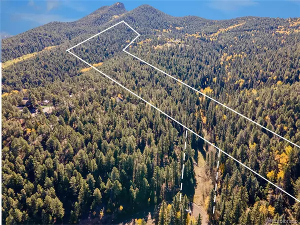 Conifer, CO 80433,12301 Black Hawk TRL