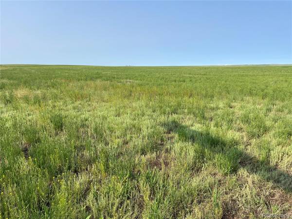 42687 County Road 125, Deer Trail, CO 80105