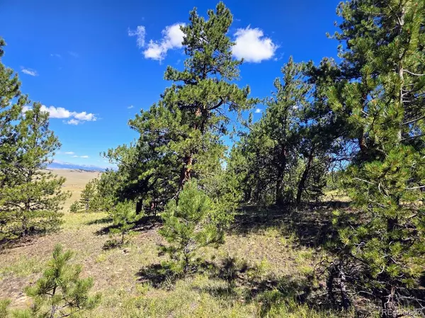 Hartsel, CO 80449,000 Cohonina RD