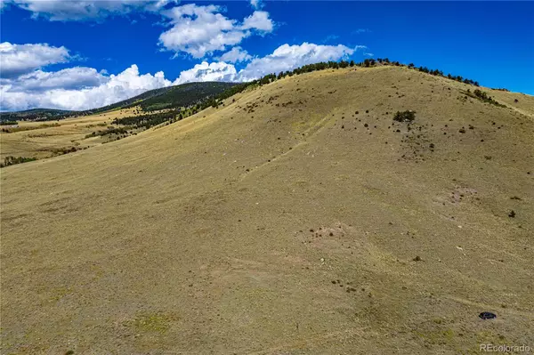 Cotopaxi, CO 81223,340 Huntley PL