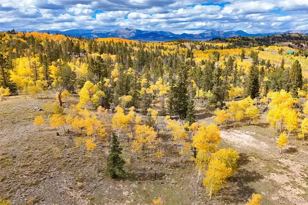 Como, CO 80432,4019 Buffalo Ridge RD