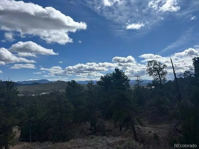 Cotopaxi, CO 81223,143 Ive PL