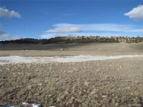 Hartsel, CO 80449,1899 S Muley Gulch DR