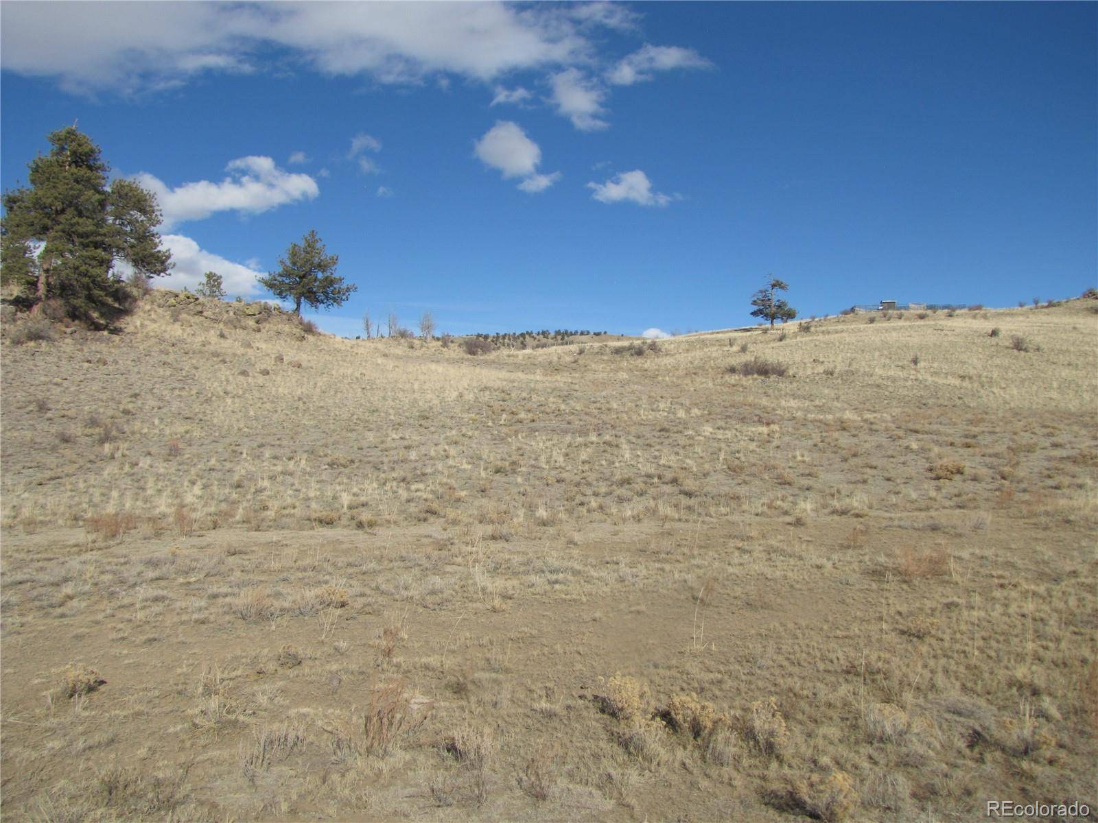 Hartsel, CO 80449,8808 County Road 53