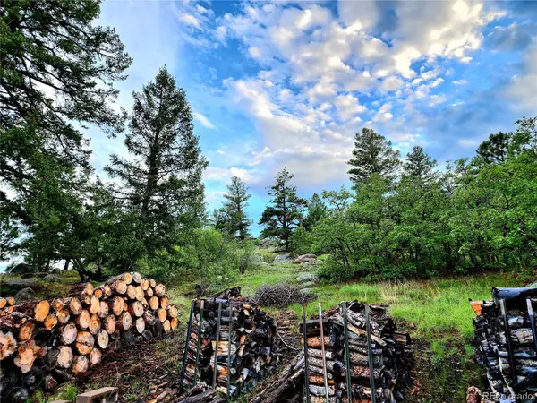 Florissant, CO 80816,324 Pike View LN