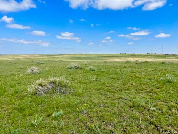 Elizabeth, CO 80107,4704 County Road 186