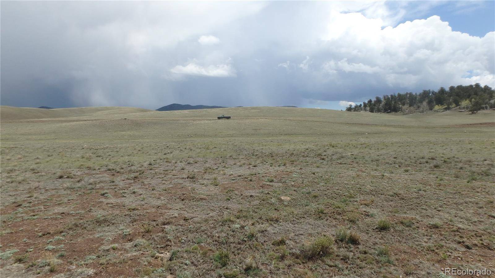 Delaware RD, Hartsel, CO 80449