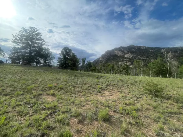 Lake George, CO 80827,171 Emerald WAY