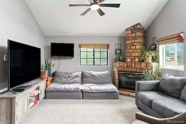 Dillon, CO 80435,113 Cooper DR