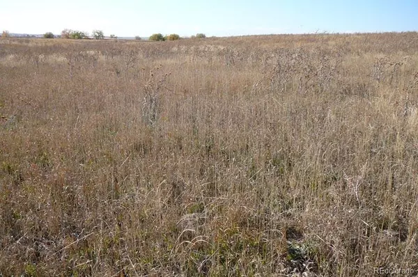 Watkins, CO 80137,1970 Imboden RD