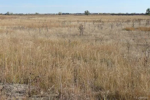 Watkins, CO 80137,1970 Imboden RD