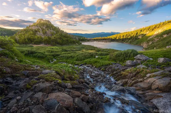 Idaho Springs, CO 80452,79 Beaver RD