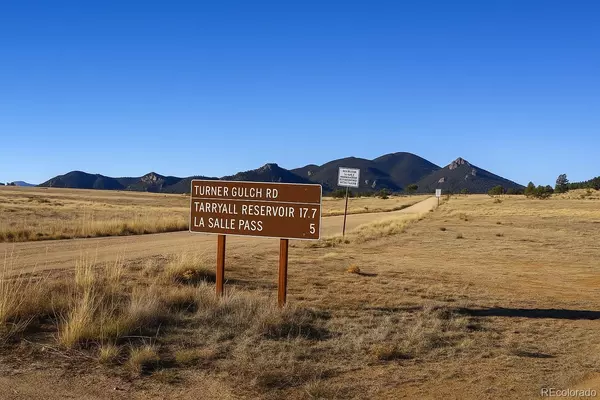 Hartsel, CO 80449,1408 Larimer DR