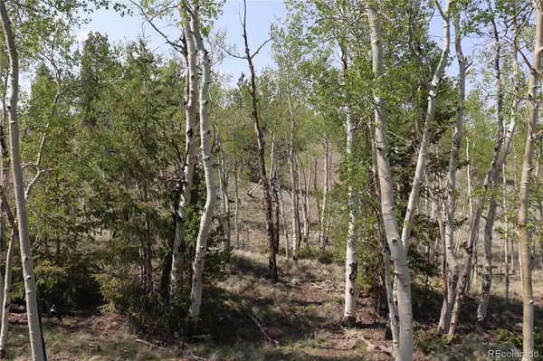 Hartsel, CO 80449,687 Corral RD