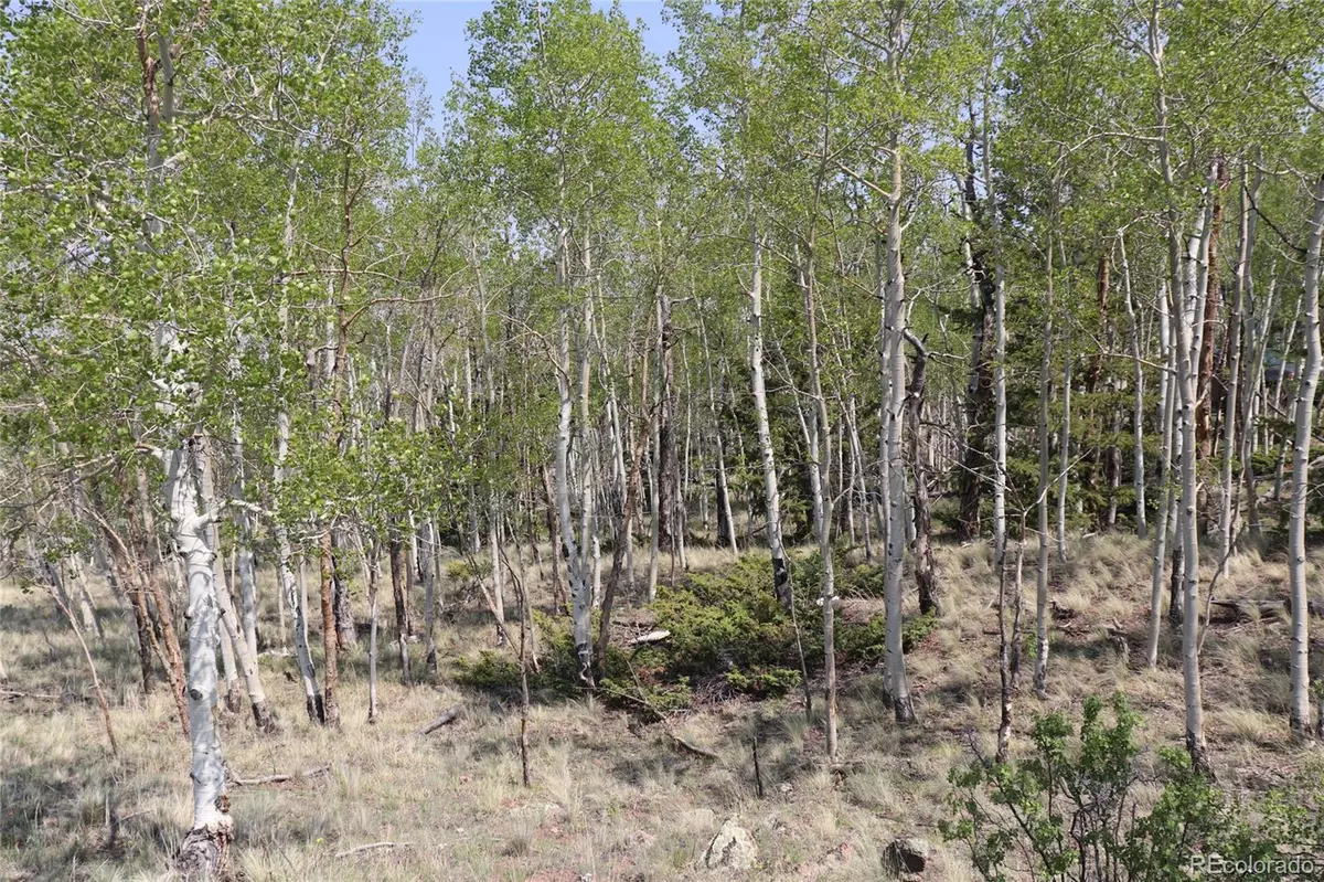 Hartsel, CO 80449,687 Corral RD