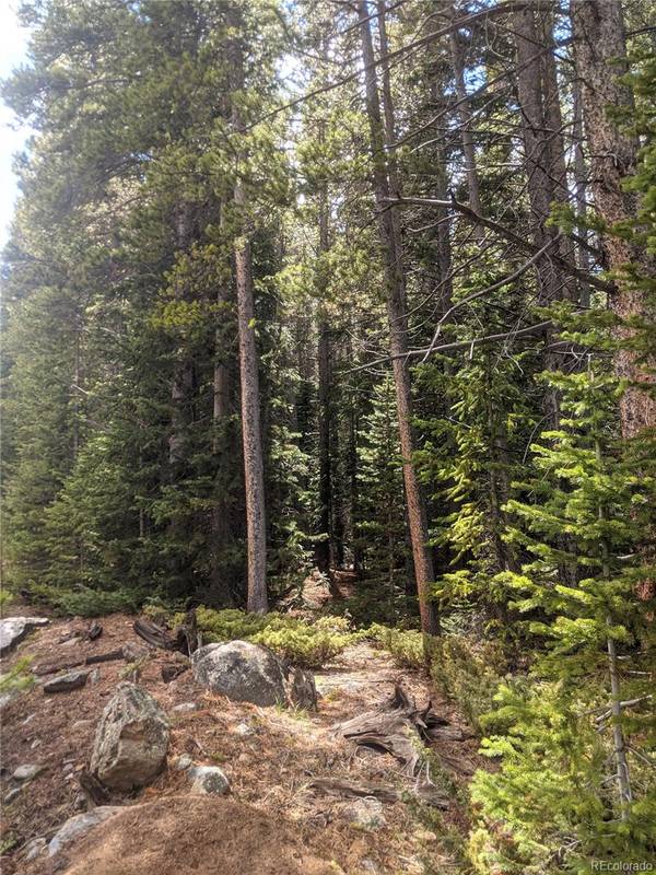 0 Silver Creek RD, Idaho Springs, CO 80452