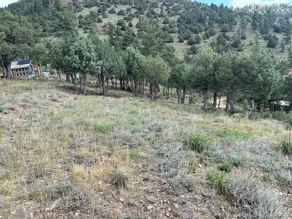 Idaho Springs, CO 80452,BLACK EAGLE ROAD