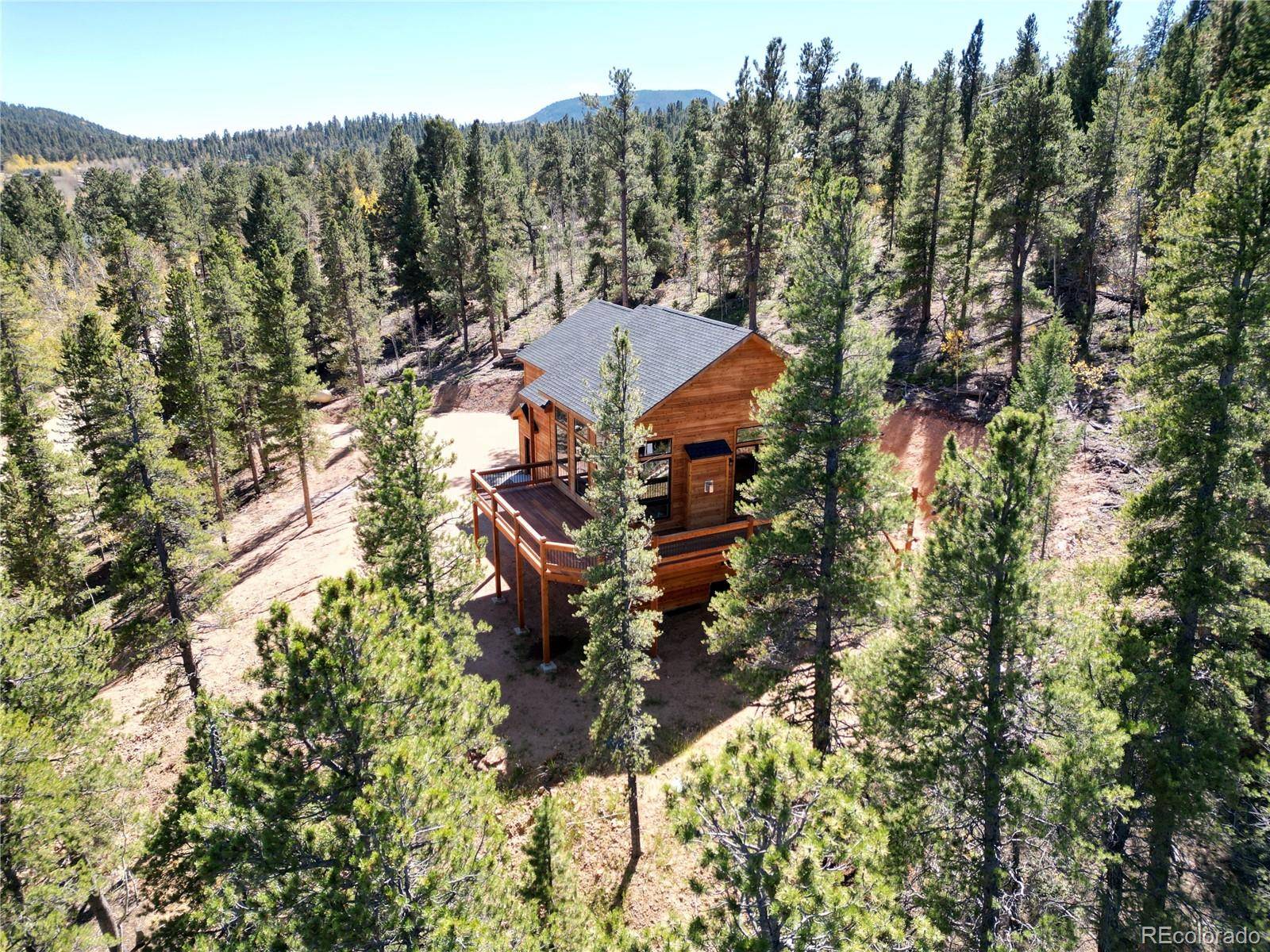 Bailey, CO 80421,63 Bristlecone CIR