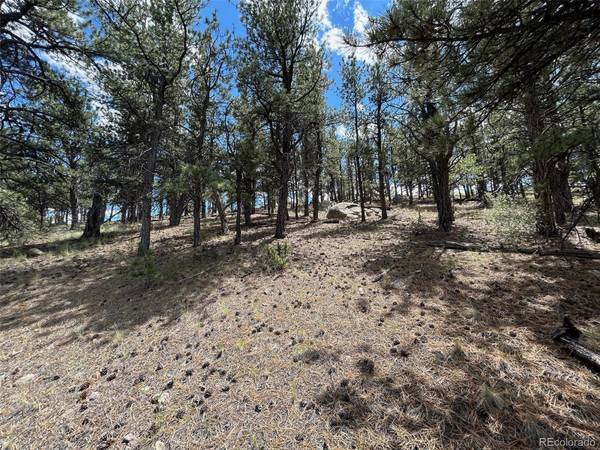 164 Lazy CIR, Hartsel, CO 80449