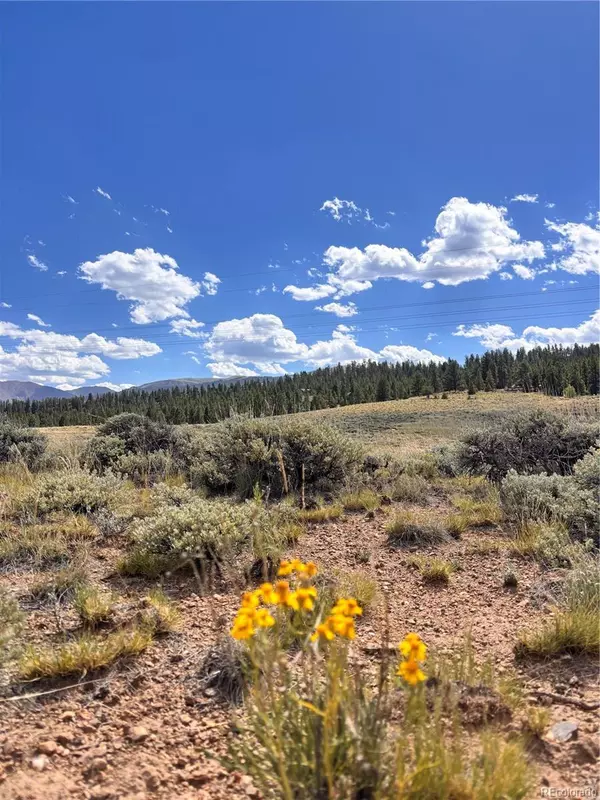 Twin Lakes, CO 81623,TBD Lot 73 and 74 E.E. Hill Drive