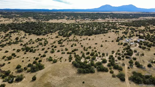 Walsenburg, CO 81089,111 Pico del Questa